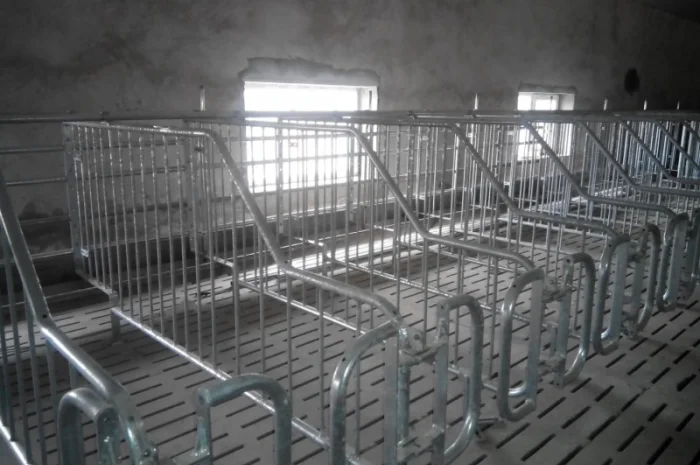 Станки для осеменения- фото № 1