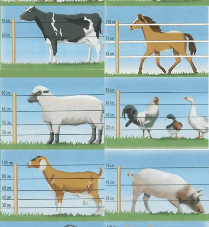 Изгородь электрическая, электропастух, электроизгородь. Електрична огорожа. Пастух- фото № 1