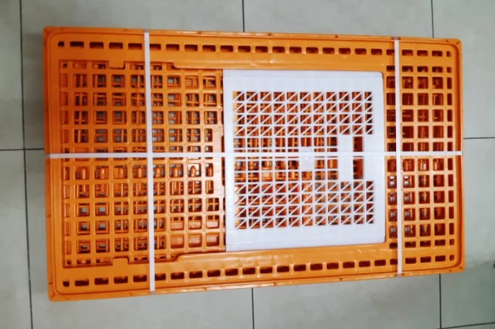 Ящик для перевезення птиці з одними дверцятами зверху 96х57х27см- фото № 4