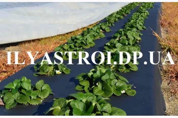 Агроволокно (спанбонд) белое, черное, черно-белое в г. Днепр- фото № 1