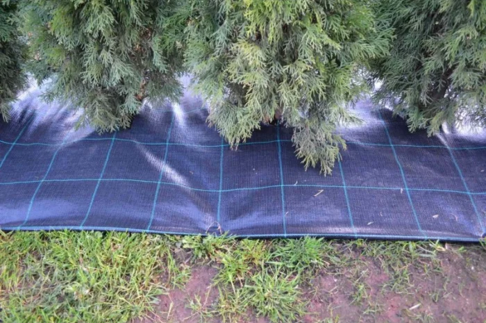 Агроволокно, Агротканина за цінами виробника в Україні. Виробництво: Чехія, Польща- фото № 11