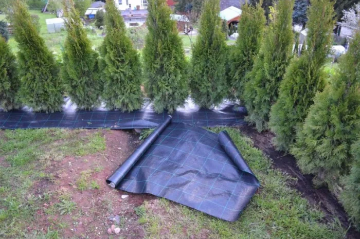 Агроволокно, Агротканина за цінами виробника в Україні. Виробництво: Чехія, Польща- фото № 1