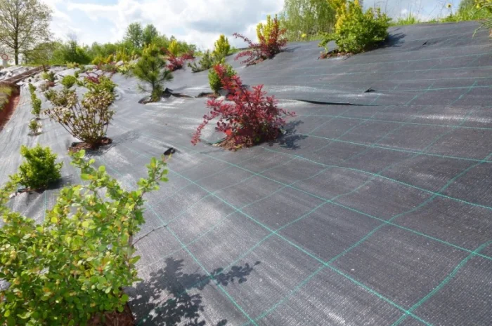 Агроволокно, Агротканина за цінами виробника в Україні. Виробництво: Чехія, Польща- фото № 6