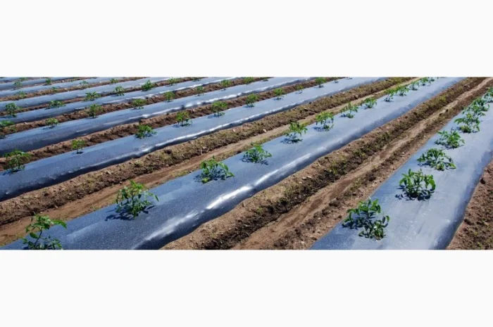 Vatan Plastik мульчующа плівка купити- фото № 1