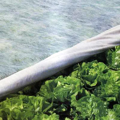 Агроволокно Агротекс 6, 3х100, 30 плотность- фото № 1