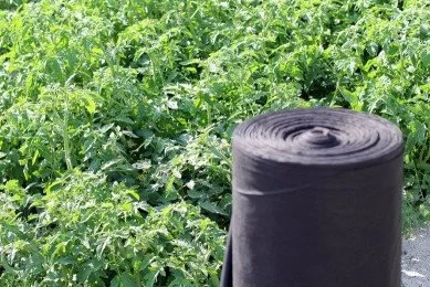 Агроволокно Агротекс 3, 2х100, 60 пл (чёрный)- фото № 1