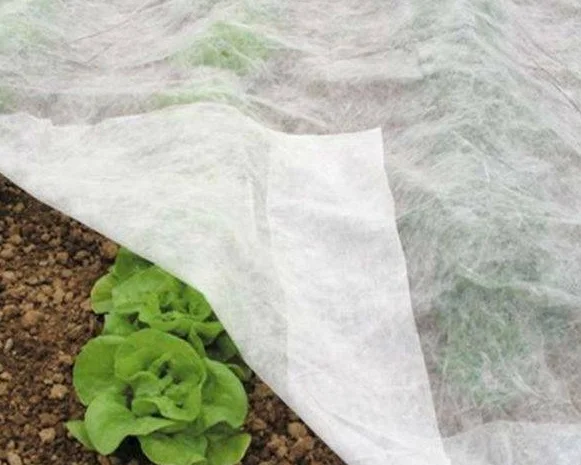 Агроволокно Агротекс 1, 6х100, 60 плотность- фото № 1