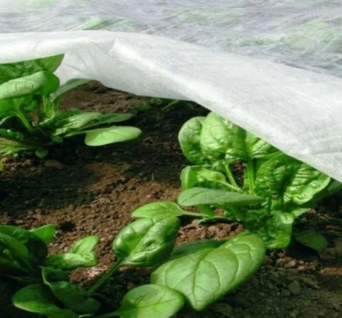 Агроволокно Агротекс 1, 6х100, 19 плотность- фото № 1