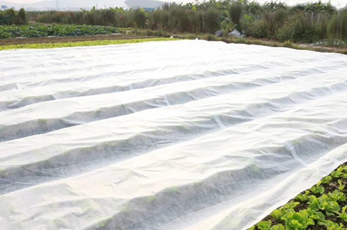 Агроволокно Агротекс 3, 2х100, 30 плотность- фото № 1