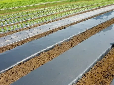 Плівка полотно. Мульча- фото № 3