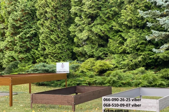 Цветные грядки для огорода- фото № 1