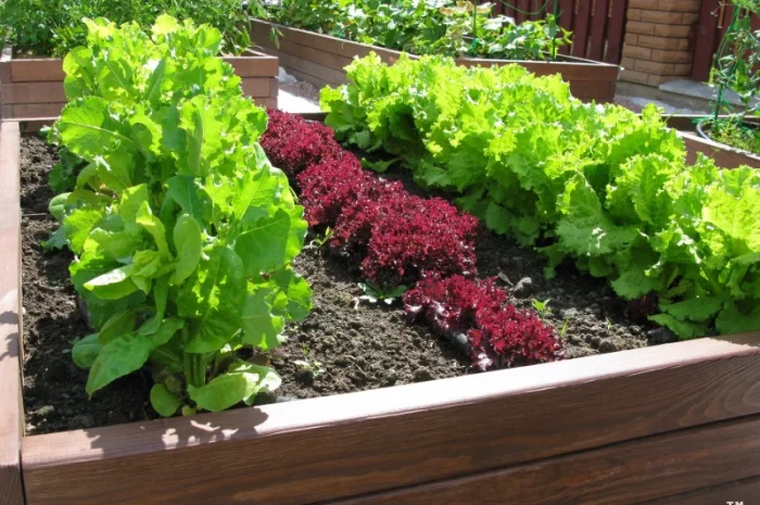 Высокие грядки купить в Украине Киев- фото № 3