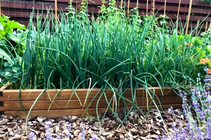 Высокие грядки купить в Украине Киев- фото № 4