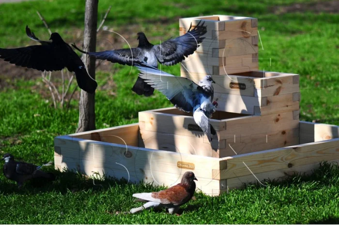 Высокие грядки Organic Box, ограждение для высоких грядок купить- фото № 1