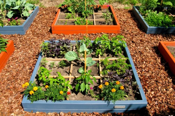 Обустройство декоративного огорода "под ключ". Высокие грядки, приподнятые грядки- фото № 1