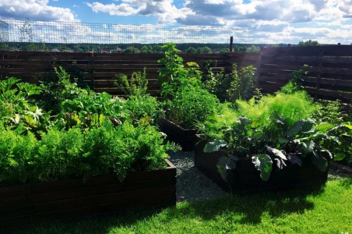 Обустройство декоративного огорода "под ключ". Высокие грядки, приподнятые грядки- фото № 5