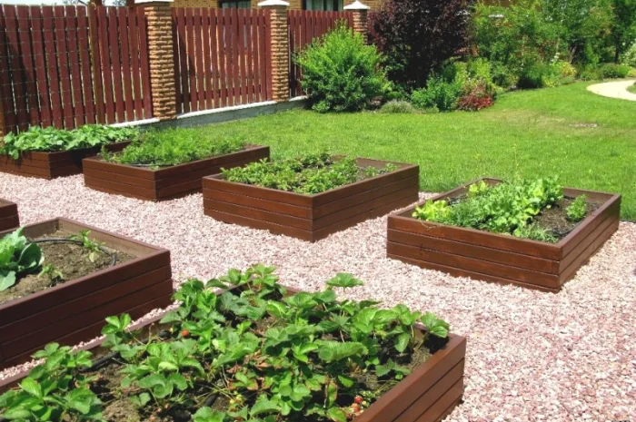 Декоративный огород, высокие грядки от производителя Organic Box купить Киев, Украина- фото № 2