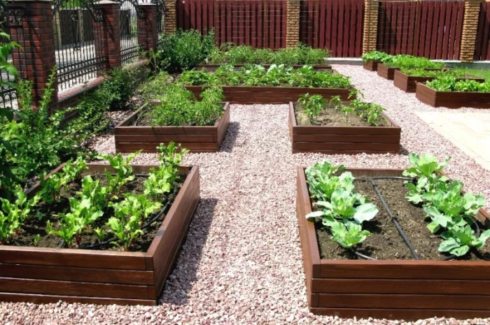 Декоративный огород, высокие грядки от производителя Organic Box купить Киев, Украина- фото № 5