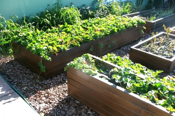 Декоративный огород, высокие грядки от производителя Organic Box купить Киев, Украина- фото № 6