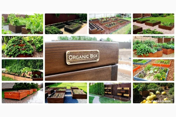 Современные высокие грядки, декоративный огород фото, от производителя. Киев Украина- фото № 1