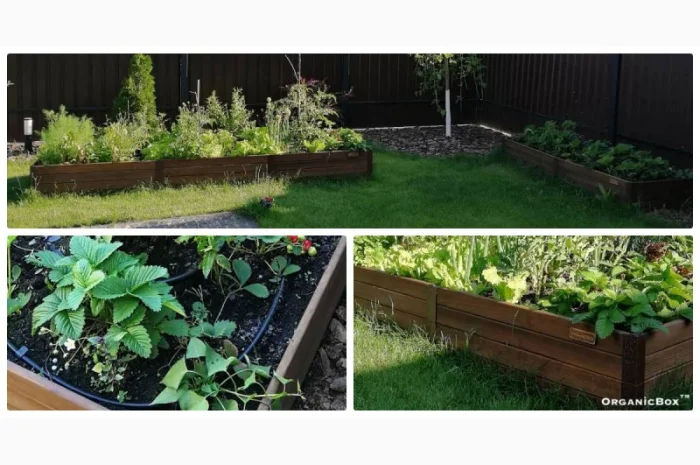 Современные высокие грядки, декоративный огород фото, от производителя. Киев Украина- фото № 10