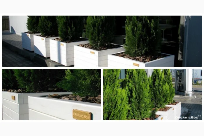 Современные высокие грядки, декоративный огород фото, от производителя. Киев Украина- фото № 9