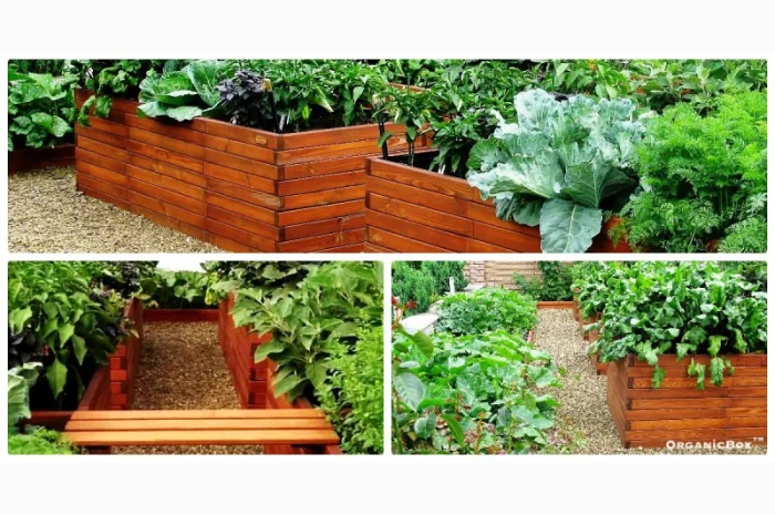 Современные высокие грядки, декоративный огород фото, от производителя. Киев Украина- фото № 8