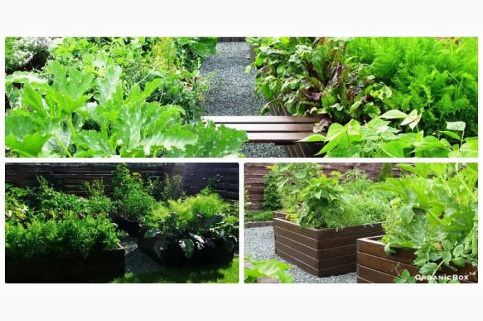 Современные высокие грядки, декоративный огород фото, от производителя. Киев Украина- фото № 7