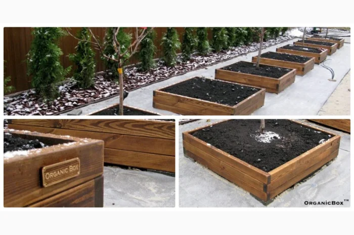 Современные высокие грядки, декоративный огород фото, от производителя. Киев Украина- фото № 6