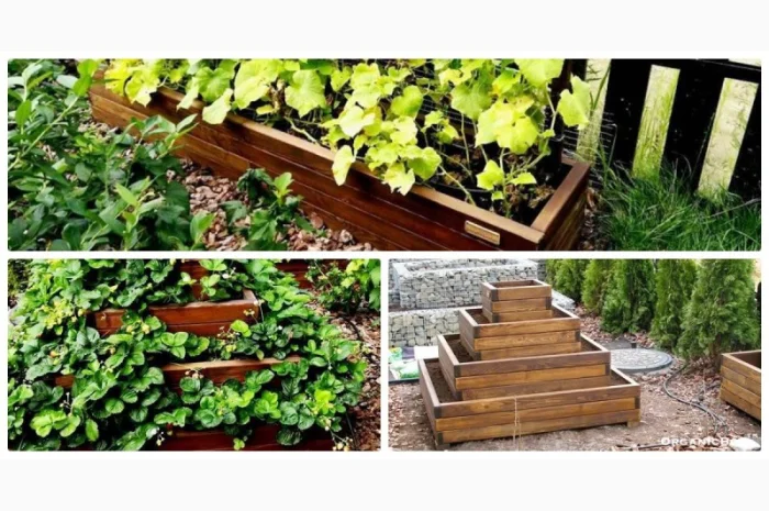 Современные высокие грядки, декоративный огород фото, от производителя. Киев Украина- фото № 5