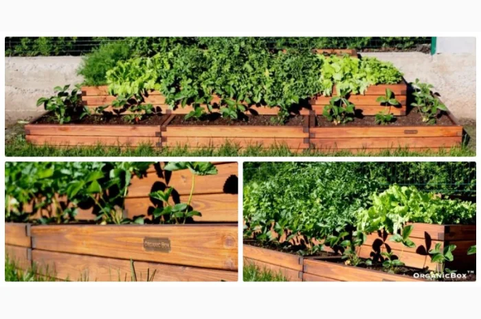 Современные высокие грядки, декоративный огород фото, от производителя. Киев Украина- фото № 4