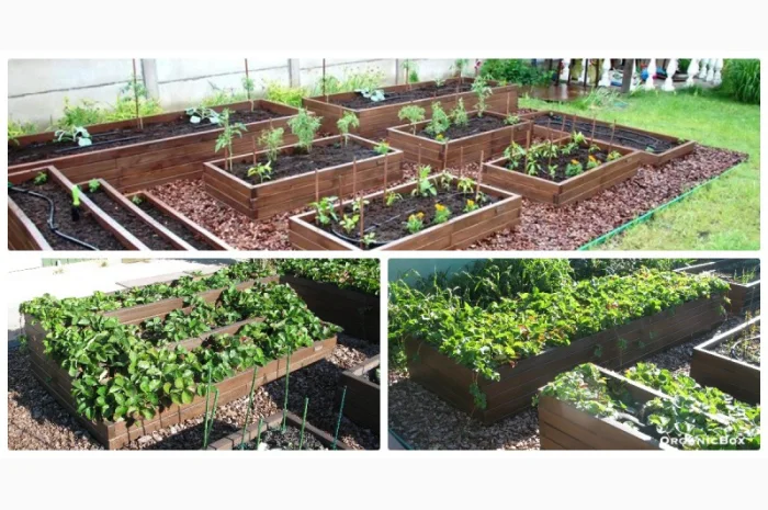 Современные высокие грядки, декоративный огород фото, от производителя. Киев Украина- фото № 17