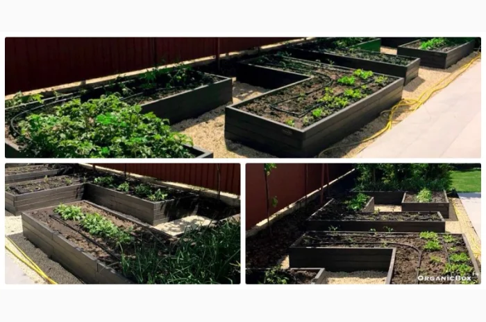 Современные высокие грядки, декоративный огород фото, от производителя. Киев Украина- фото № 16