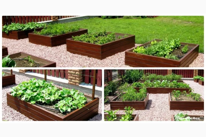 Современные высокие грядки, декоративный огород фото, от производителя. Киев Украина- фото № 14