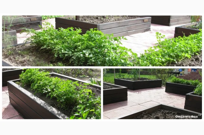 Современные высокие грядки, декоративный огород фото, от производителя. Киев Украина- фото № 12