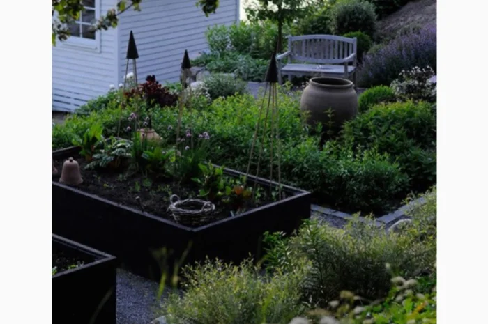 Деоративна грядка, клумба, вітник, газончик- фото № 1