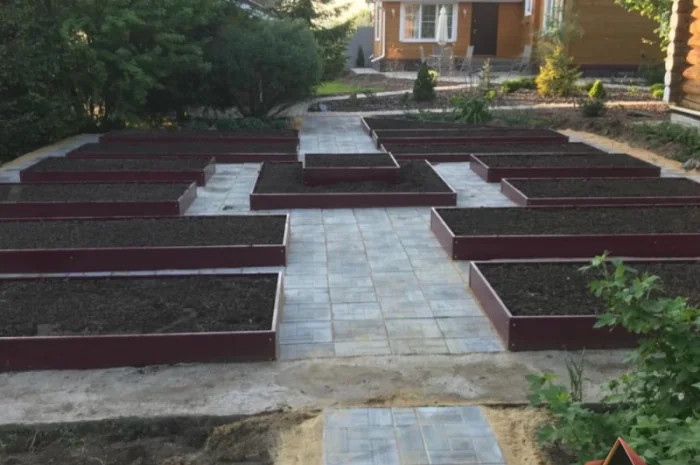 Деоративна грядка, клумба, вітник, газончик- фото № 3