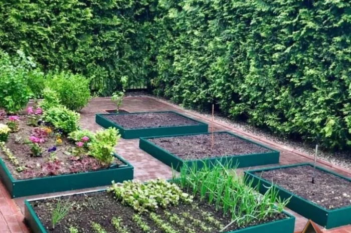 Мінігород, мінігазон, грядка, клумба- фото № 2