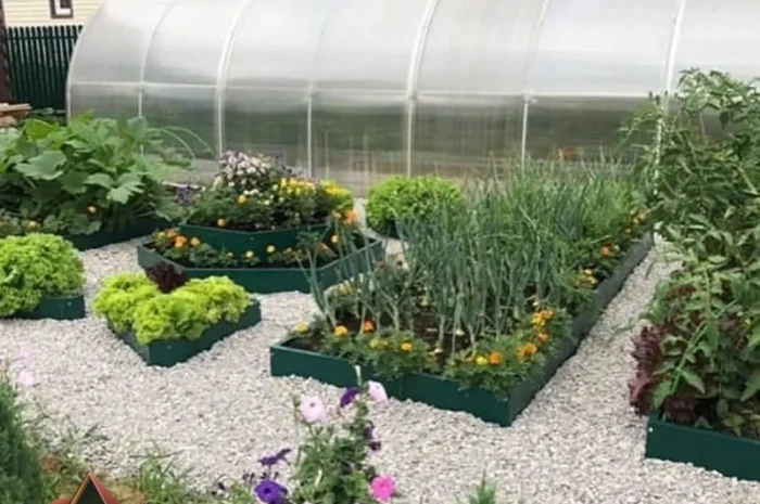 Мінігород, мінігазон, грядка, клумба- фото № 3