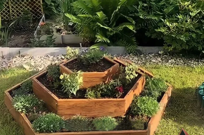 Грядка, клумба, Альпійська гірка, каскадна клумба- фото № 3