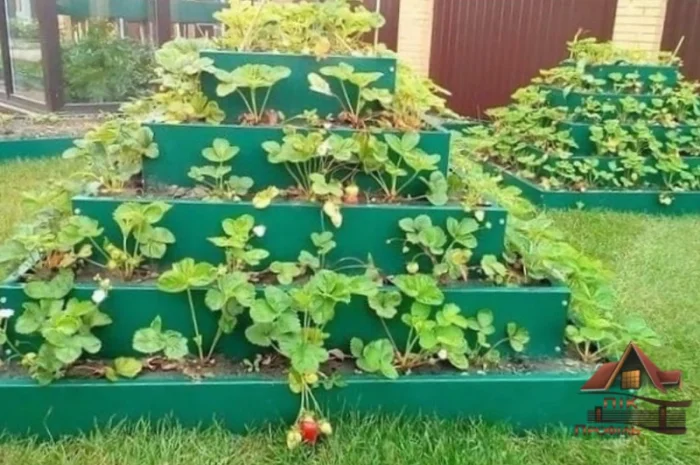 Грядка, клумба, Альпійська гірка, каскадна клумба- фото № 5