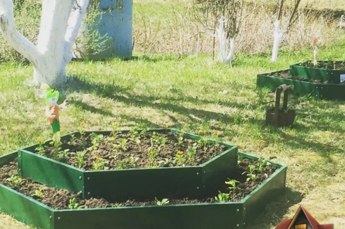 Грядка, клумба, Альпійська гірка, каскадна клумба- фото № 7