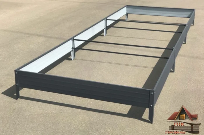 Грядка з пермичкою, клумба з перемичками по середині- фото № 2