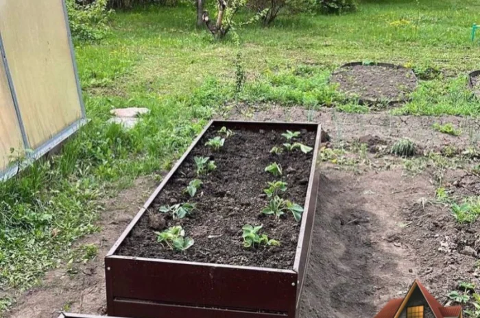 Насипна клумба, грядка для ділянки- фото № 4