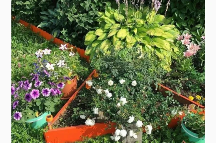 Насипна клумба, грядка для ділянки- фото № 6