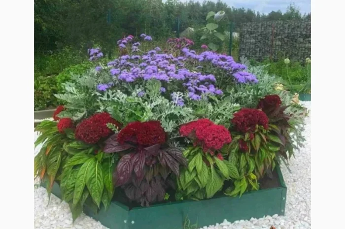 Ступінчата грядка, какскадна клумба, Альпійська гірка- фото № 2