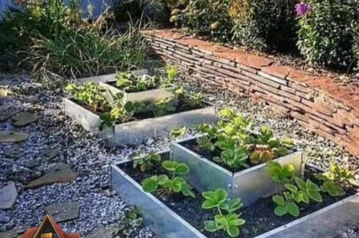 Ступінчата грядка, какскадна клумба, Альпійська гірка- фото № 6