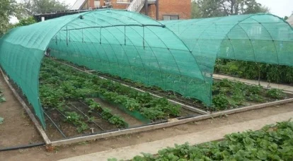 Сетка затеняющая Karatzis зеленая (8х50) 35%- фото № 1