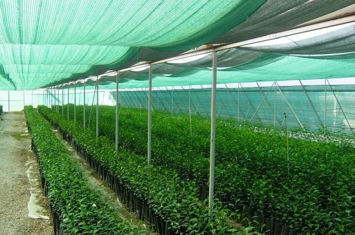 Затеняющая сетка Karatzis зеленая (8х50) 50%- фото № 1