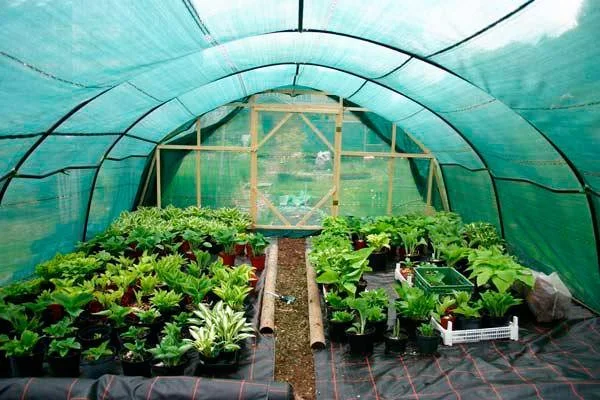 Сетка затеняющая Karatzis зеленая (6х50) 35%- фото № 1